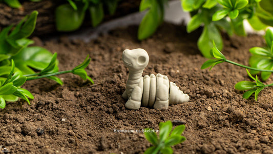 Baby Brontosaurio esqueleto