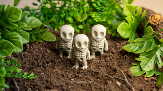 Mini Esqueleto Alien
