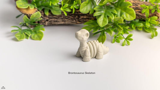 Baby Brontosaurio esqueleto