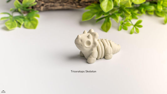 Baby Triceratops esqueleto