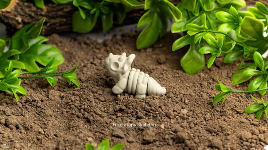 Baby Triceratops esqueleto