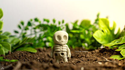 Mini Esqueleto Alien