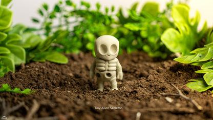Mini Esqueleto Alien