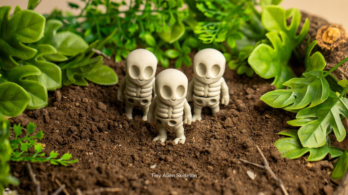 Mini Esqueleto Alien