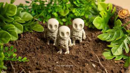 Mini Esqueleto Alien