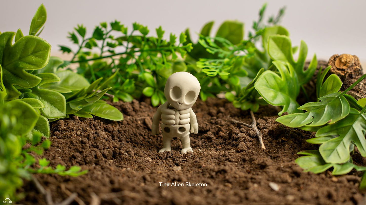Mini Esqueleto Alien